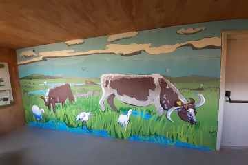 Species Survival Fund mural and other news